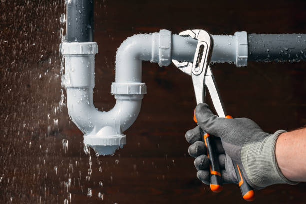 Professional Plumbing technician working in Holcomb, IL